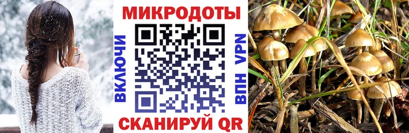 Купить где  Сухой Лог  Галлюциногенные грибы ЛСД 